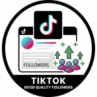 TikTok Followers