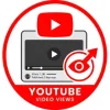 YouTube Views