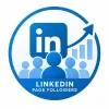 LinkedIn Page Followers