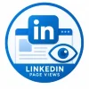 LinkedIn Page Views